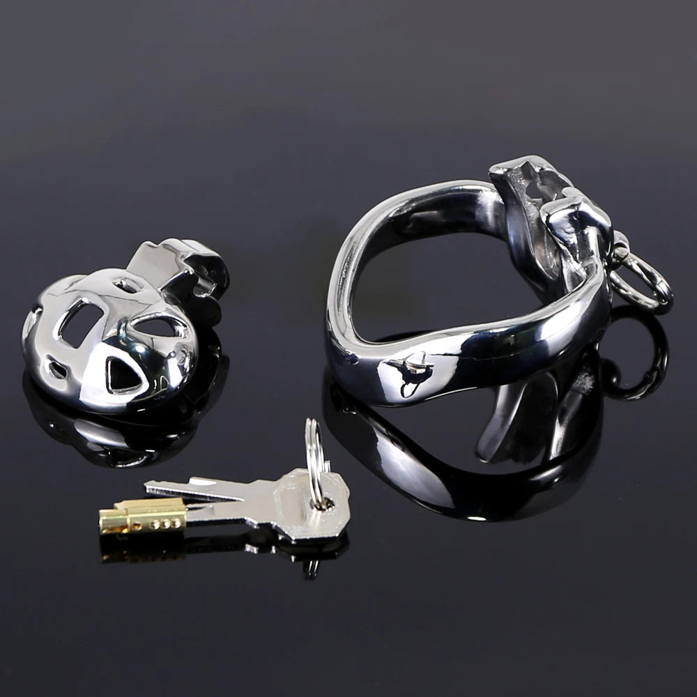 Stainless Steel Metal Locking Cock Cage Sex and Leash