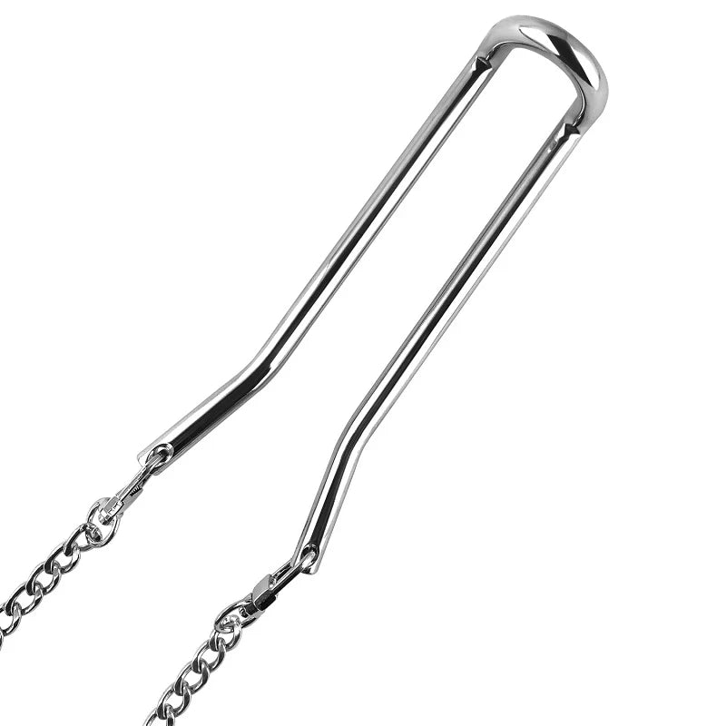 Stainless Steel Testicle Stretching Hook with Weights