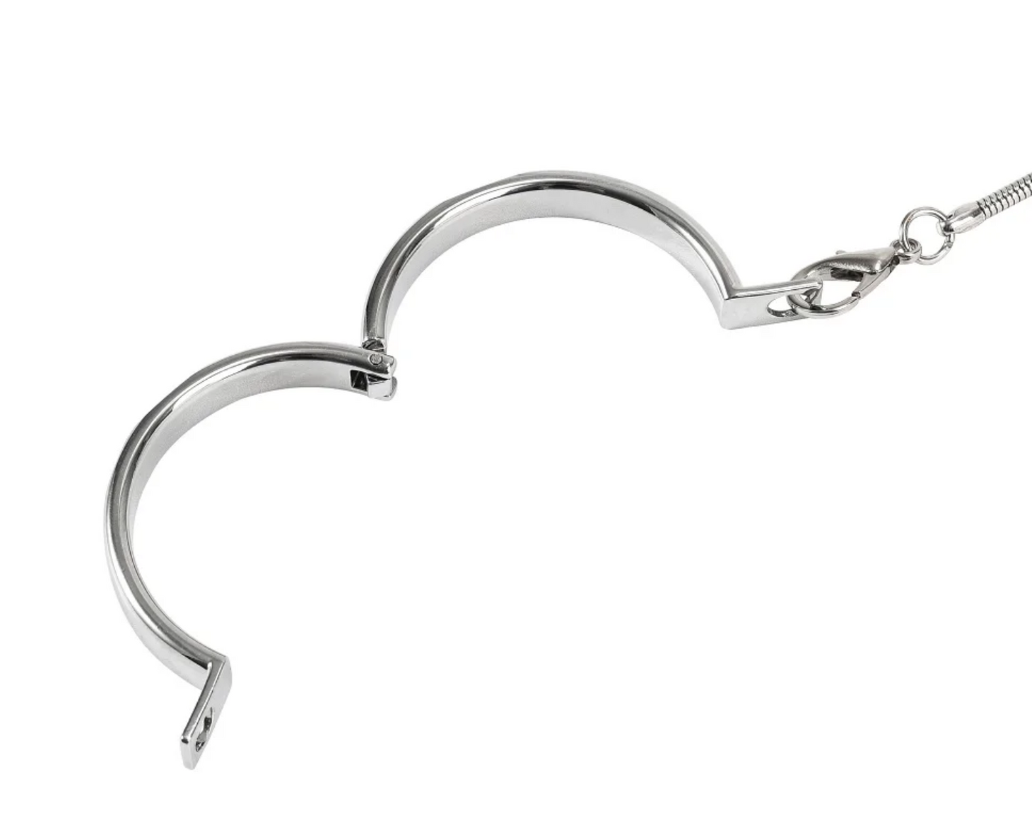 Metal Locking Genital Collar and Chain Lead
