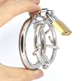 Stainless Steel Spiked Thorn Male Chastity Cage